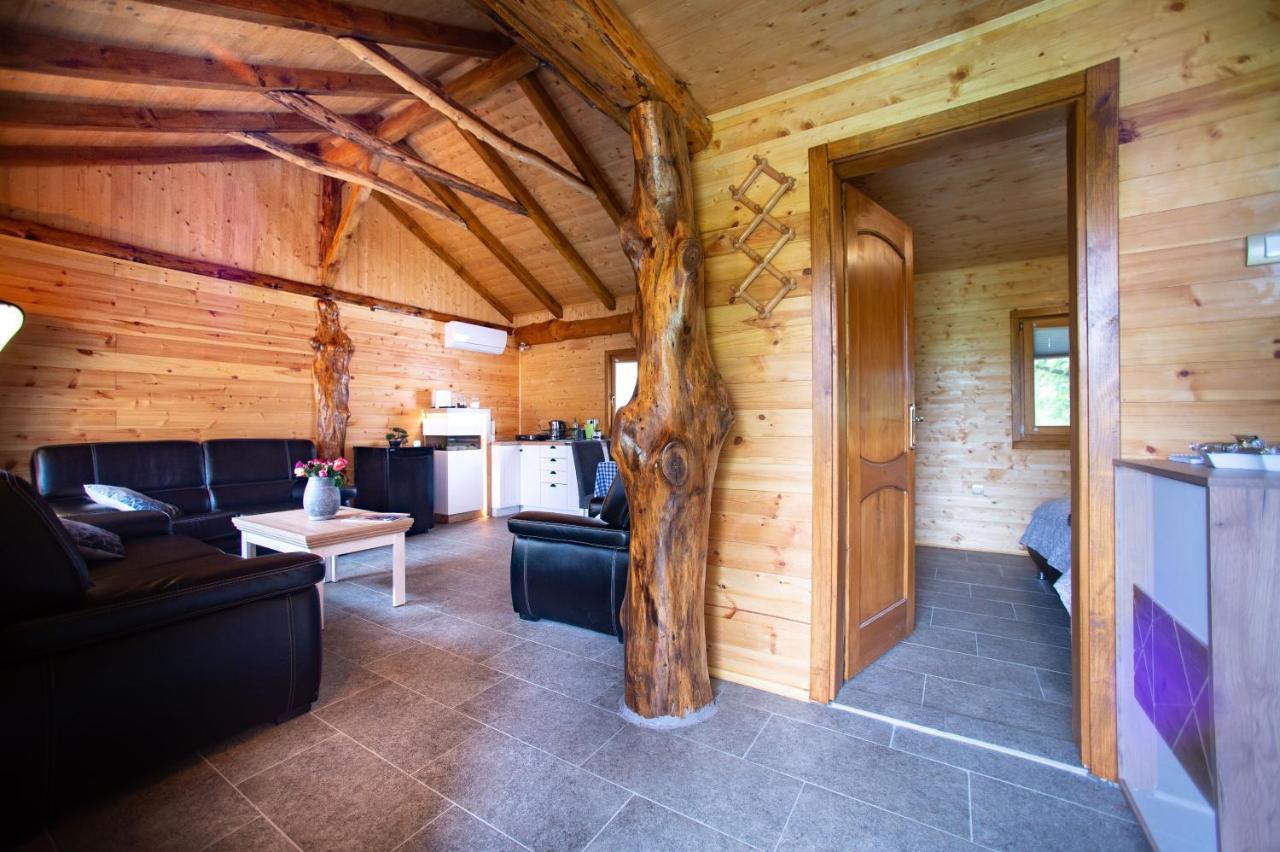 Vila Brvnara Aurora Vista Velika Remeta Exteriér fotografie