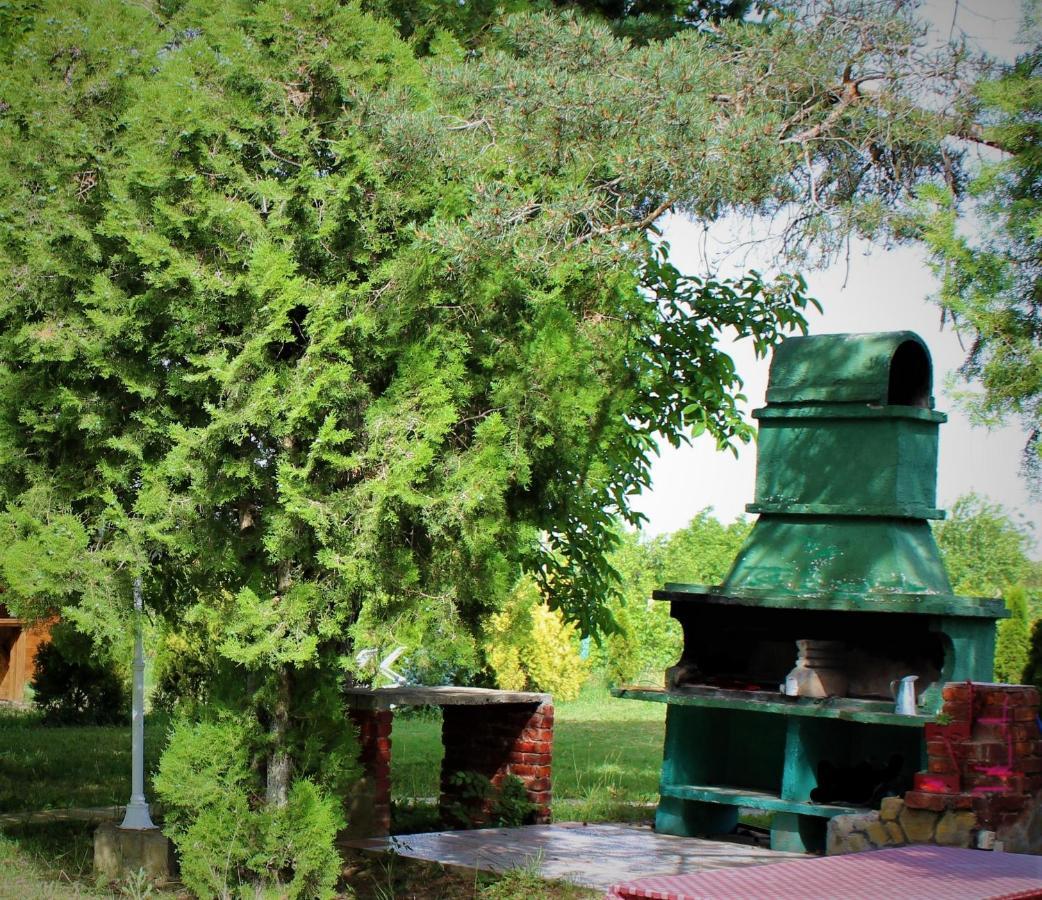 Vila Brvnara Aurora Vista Velika Remeta Exteriér fotografie