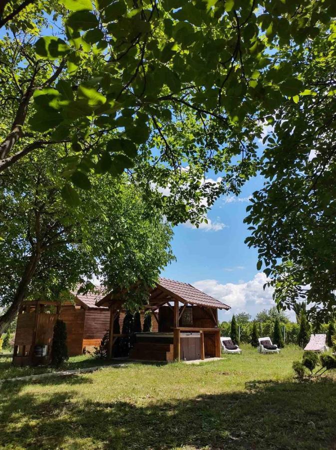 Vila Brvnara Aurora Vista Velika Remeta Exteriér fotografie