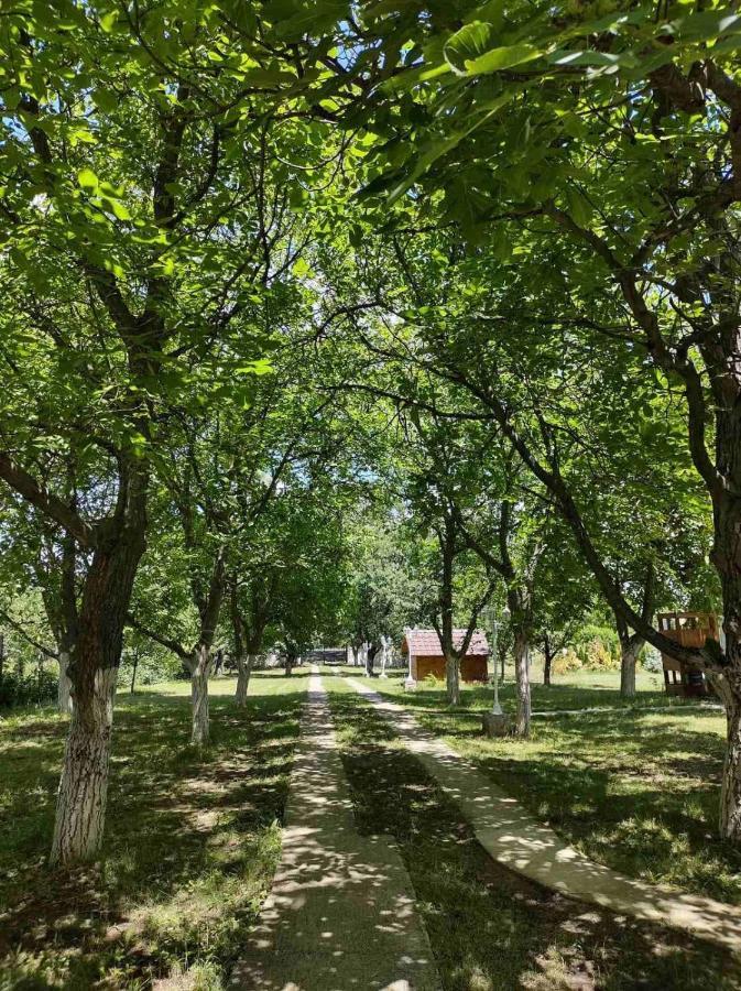 Vila Brvnara Aurora Vista Velika Remeta Exteriér fotografie