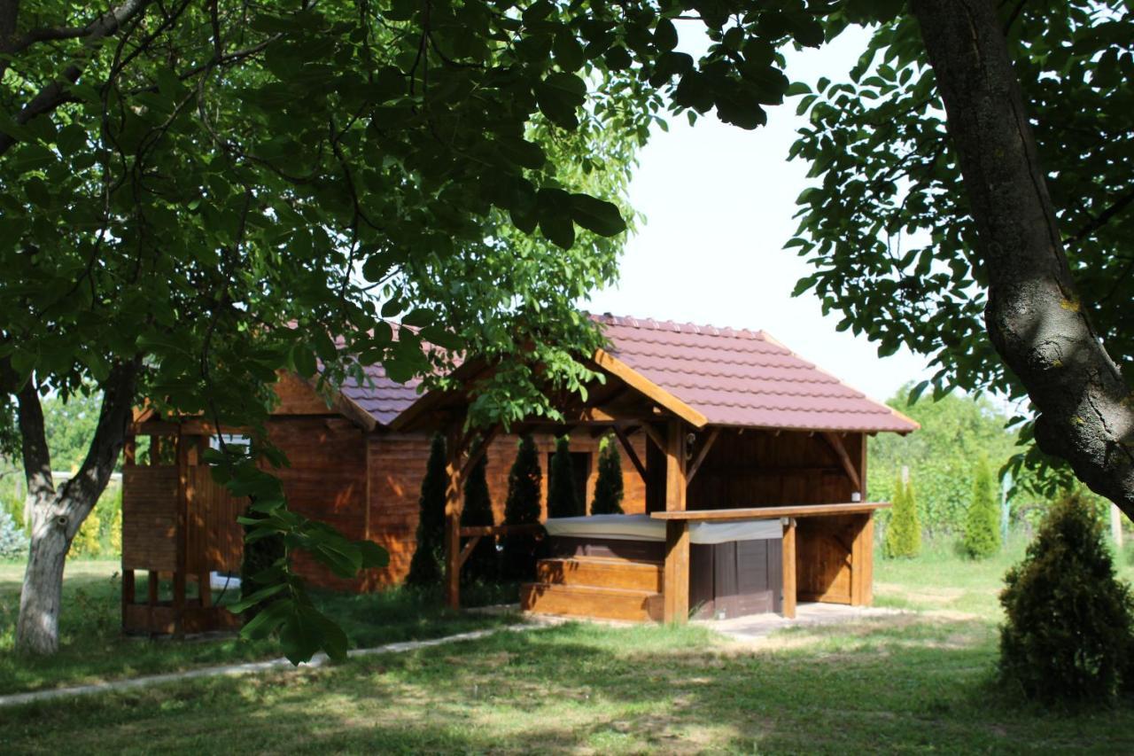 Vila Brvnara Aurora Vista Velika Remeta Exteriér fotografie